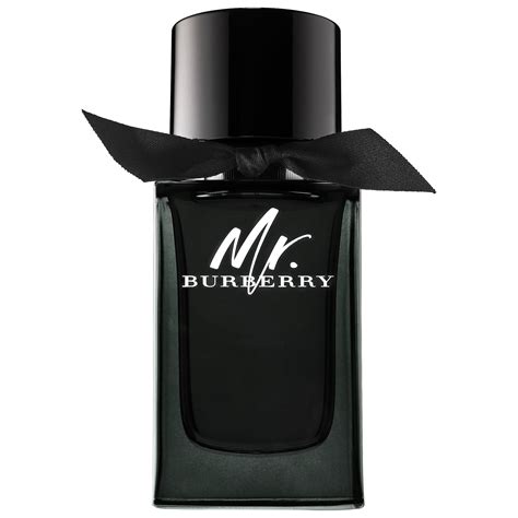 burberry mist perfume|mr burberry perfume 50ml.